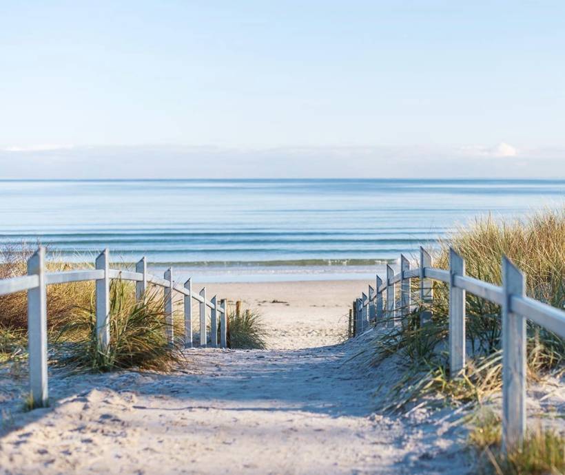 Strandweg zum Meer, gesäumt von Gräsern und einem Geländer bei einem Wellnesshotel Angebot an der Ostsee.